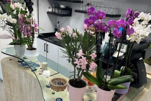 Restaurant Magnolia